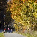Huckleberry Trail