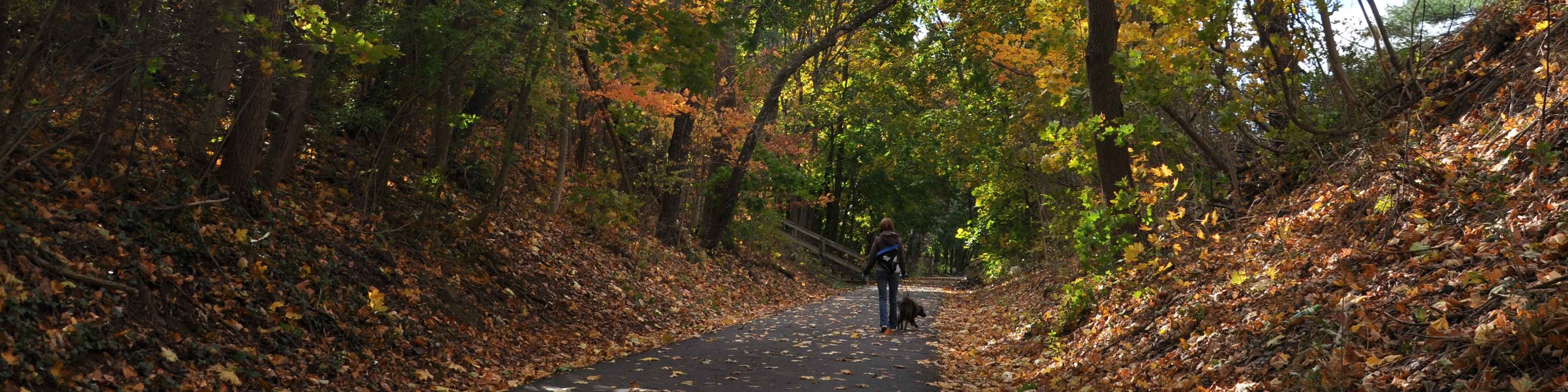 Fall on the Huckleberry Trail