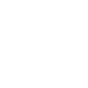 Criminal Division