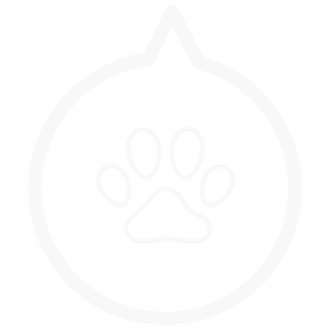 Dog Tag