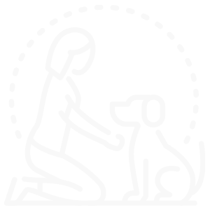 Lost/Found Pets