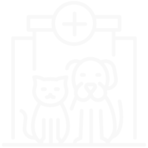 Spay/Neuter