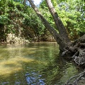 The sun reflects off the South Fork of the Roanoke River onto the rocky river bank.