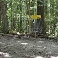 A disc sails into a basket on the Golden Hills Disc Golf Course amidst the forest.