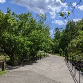 The Huckleberry Trail crosses Slate Branch over a bridge.